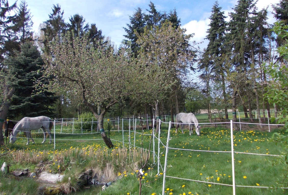 Araber im Obstgarten