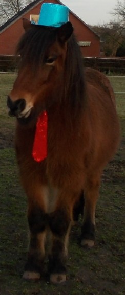 silvester